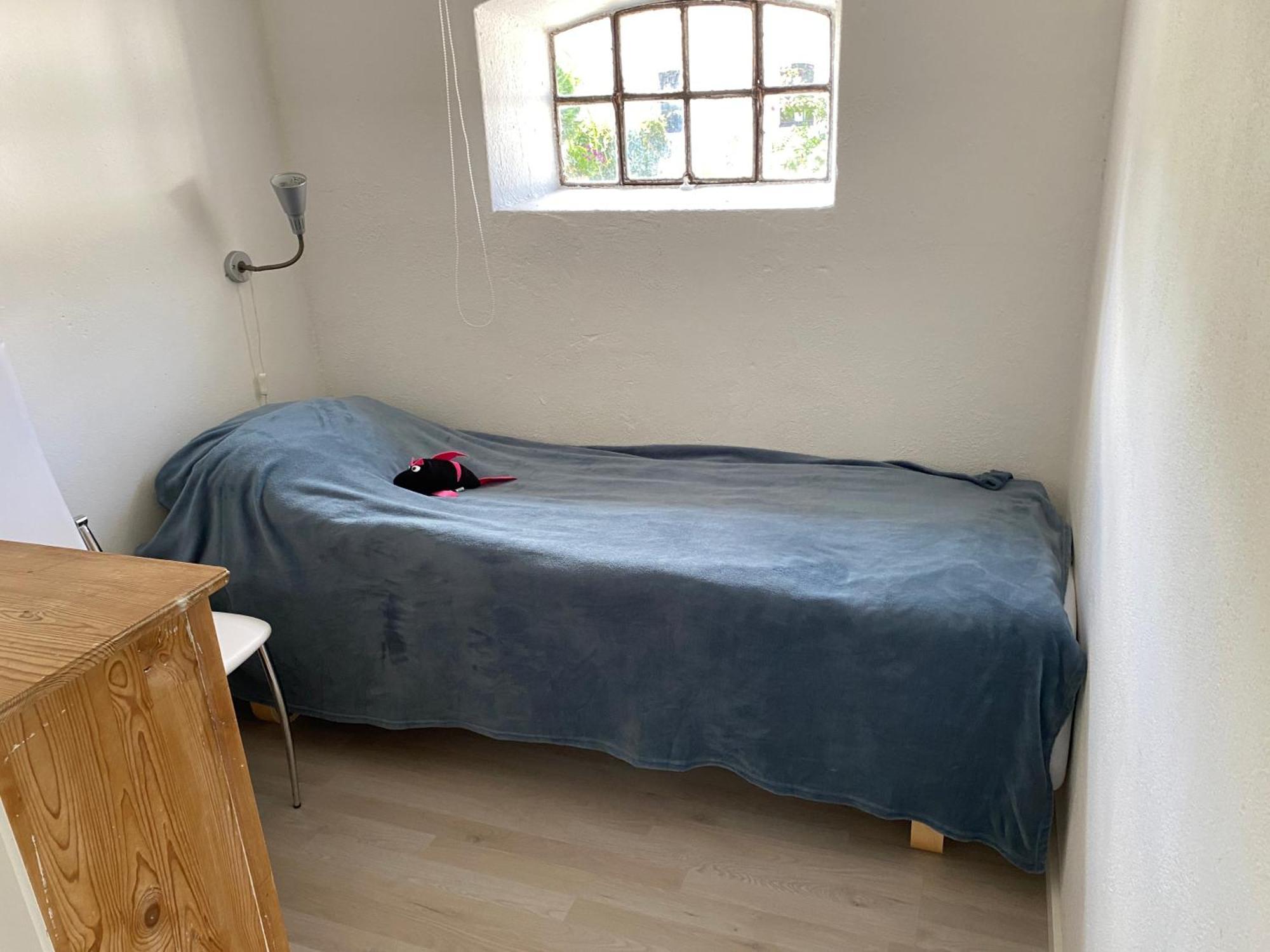 Stutteri Skandihest Apartments 빌룬드 외부 사진